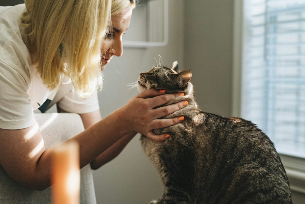 Tierärztin untersucht eine Katze in der Praxis
